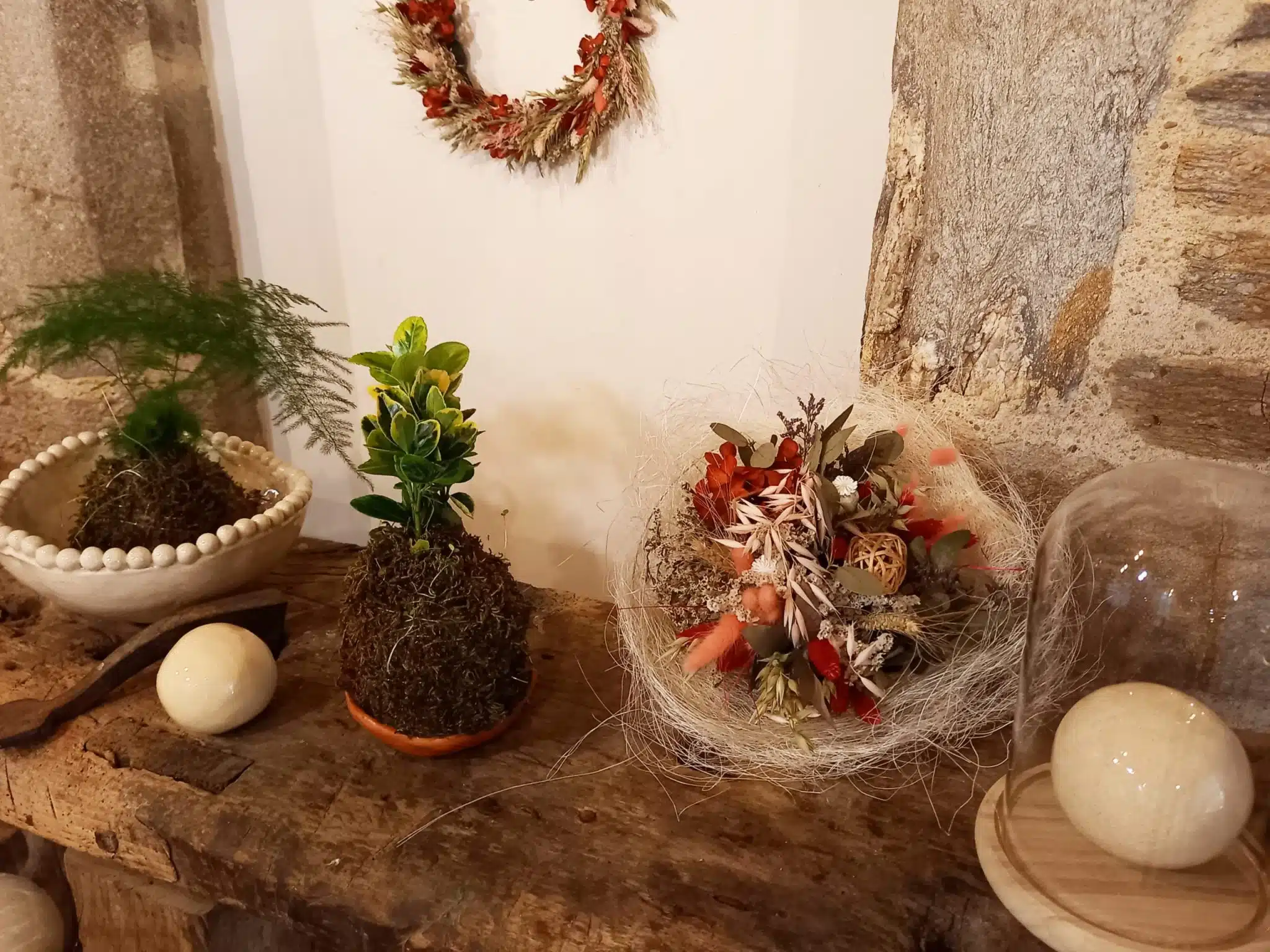 Kokedama Asparagus plumosus – Image 2